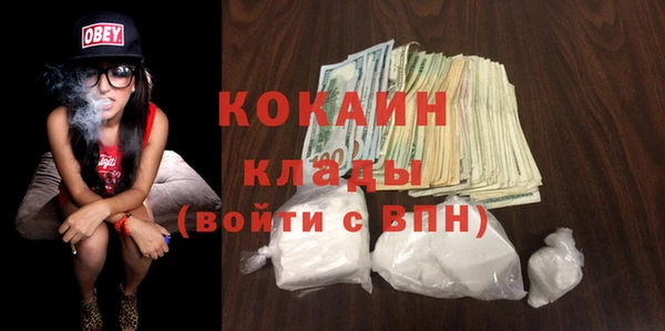 молекула духа Алексин