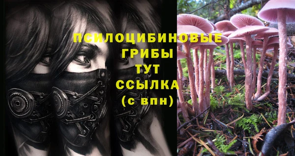 молекула духа Алексин