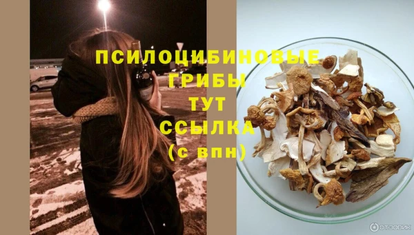 молекула духа Алексин