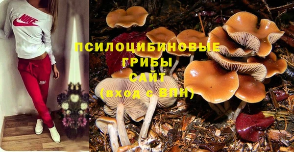 молекула духа Алексин