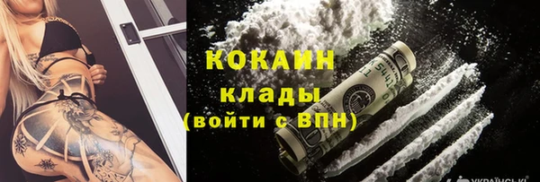 молекула духа Алексин